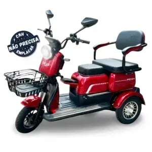 TRICICLO ELÉTRICO FENIX FAMÍLIA 3 PESSOAS 750W **AUTOPROPELIDO** CHUMBO