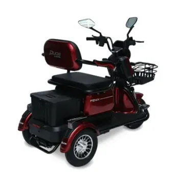 TRICICLO ELÉTRICO FENIX FAMÍLIA 3 PESSOAS 750W **AUTOPROPELIDO** CHUMBO - Foto 2