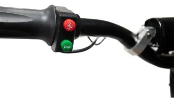 PATINETE ELÉTRICO TWO DOGS 800W **AUTOPROPELIDO** - Foto 2