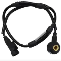 Sensor Detonação Azera Vera Cruz 393203c000 Original