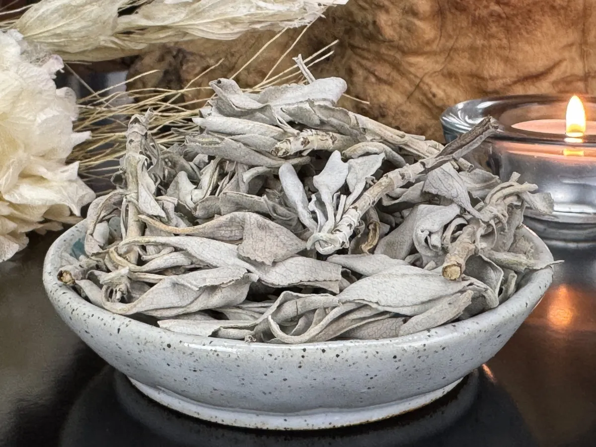 Sálvia Branca (Salvia apiana) – 5 gramas - Embalado à vácuo
