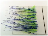 PF - Ferramenta para Brushes - Foto 3