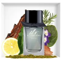 Perfume Mr. Burberry Indigo By Burberry -Eau de Toilette-50ml - Foto 6