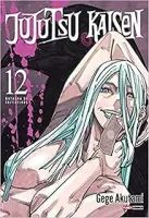 JUJUTSU KAISEN: BATALHA DE FEITICEIROS VOL. 12 (PRODUTO USADO - MUITO BOM)