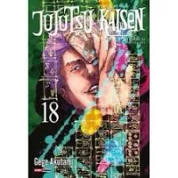 JUJUTSU KAISEN - BATALHA DE FEITICEIROS - 18 (PRODUTO USADO - MUITO BOM)