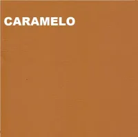 Poltrona Presidente Carrara Mecanismo Relax com Base Cromada e Braços em Alumínio  - Foto 11