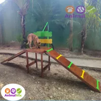 Plataforma Ossinho com Obstáculo Pneu