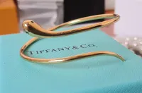 Bracelete Cobra maleável Tiffany&Co 