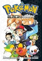 POKEMON - VOLUME 1 (PRODUTO USADO - MUITO BOM)