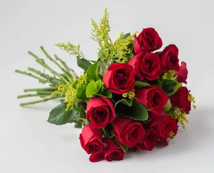 Buque Tradicional 17 Rosas Vermelhas