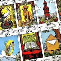 Pamela Lenormand - Foto 13