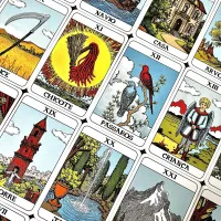 Pamela Lenormand - Foto 14