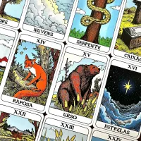 Pamela Lenormand - Foto 15