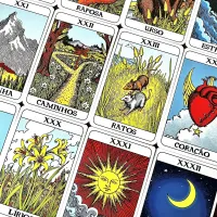 Pamela Lenormand - Foto 16