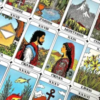 Pamela Lenormand - Foto 17