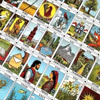 Pamela Lenormand - Foto 18