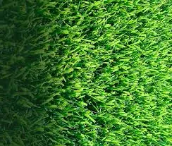 GRAMA ESMERALDA M2 Placa Imagem