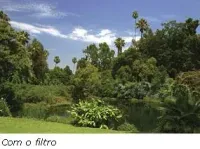 Filtro Greika PL-Circular - Foto 2