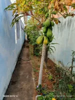 Vende-se bela casa no bairro Inconfidentes - Foto 17