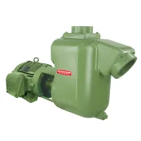 Bomba Autoaspirante Schneider BCA-43 E A 15,0 CV Trifásico 220/380/440/760V 