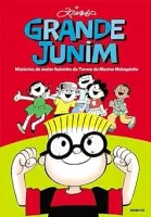 GRANDE JUNIM. HISTORIAS DO MAIOR BAIXINHO DA TURMA DO MENINO MALUQUINHO (PRODUTO USADO - BOM)