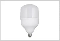 Lampada Led Bulbo 250w Bivolt - Foto 2