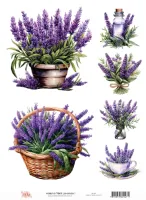 DX-047- Adesivo Têxtil Lavanda 1- Tam. A4