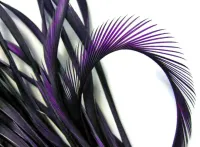 Zur -  Tiras de Penas Biot Pr - Foto 2