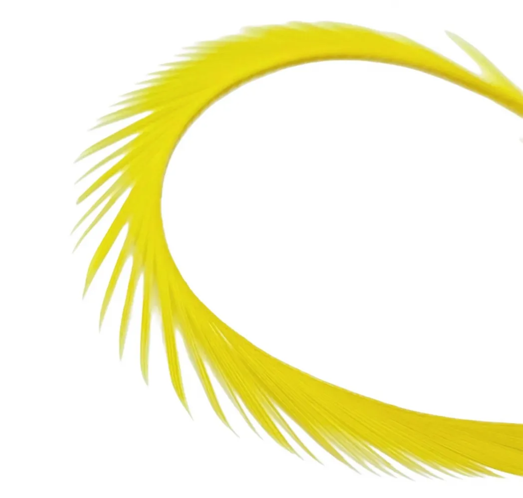  Zur -  Tiras de Penas Biot Y Imagem