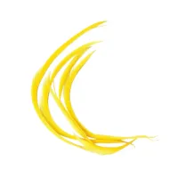  Zur -  Tiras de Penas Biot Y - Foto 2