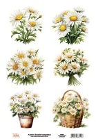 DT-041- Adesivo Transfer Margaridas- Tam. 21,0x14,8cm